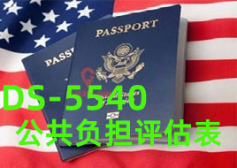 公共負(fù)擔(dān)DS-5540表